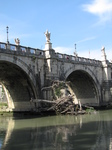 SX31818 Trees washed up onto Ponte Sant' Angelo.jpg